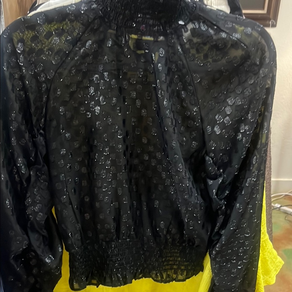 H&M Black Sheer Long Sleeve Blouse